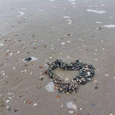 11 Каллантсог